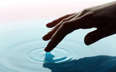 Immune Building MUST DO’s For a Flu Free Winter!