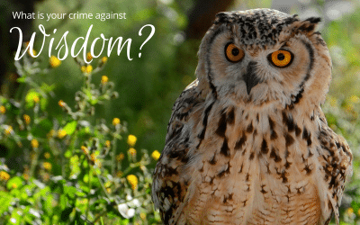 What Is Your Crime Against Wisdom? ($250 offer inside)